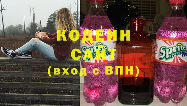 соль ск Новодвинск