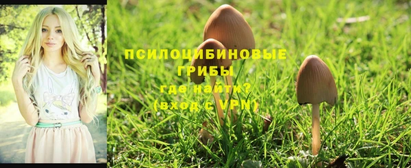 mdpv Нея