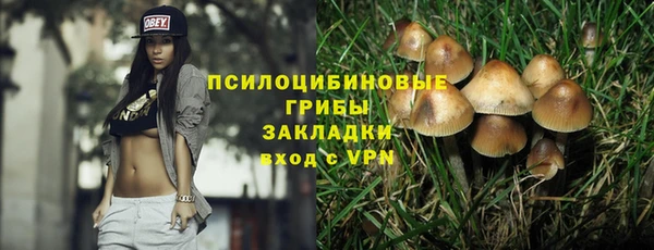 соль ск Новодвинск