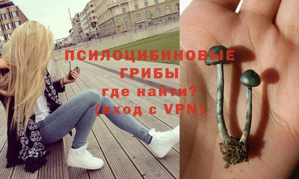 соль ск Новодвинск